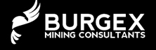Burgex